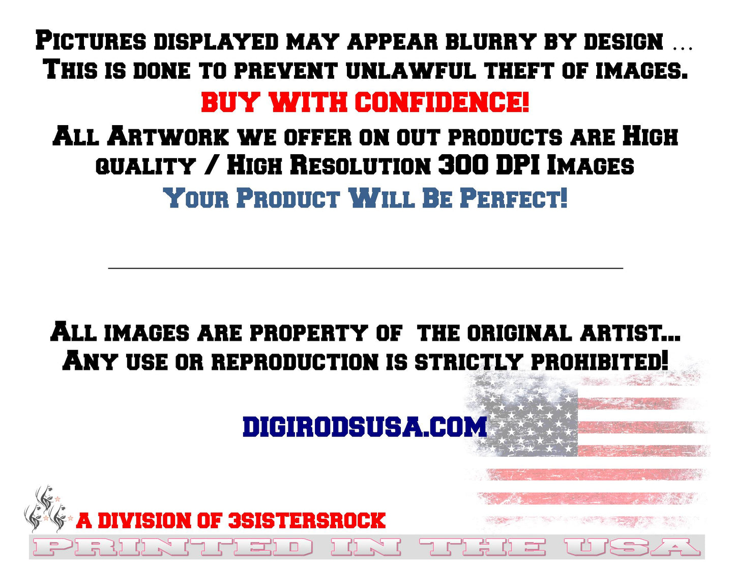 (HUD) Hudson Hornet Vintage Model Classic American DigiRods Cartoon Car Logo Vanity License Plate